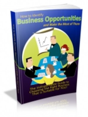 cover image of How to Identify Business Opportunities and Make the Most of Them